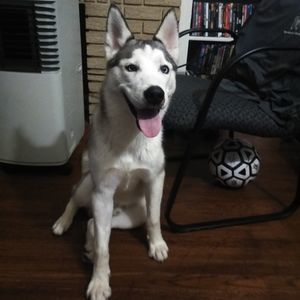 Meet your Posher, Branden